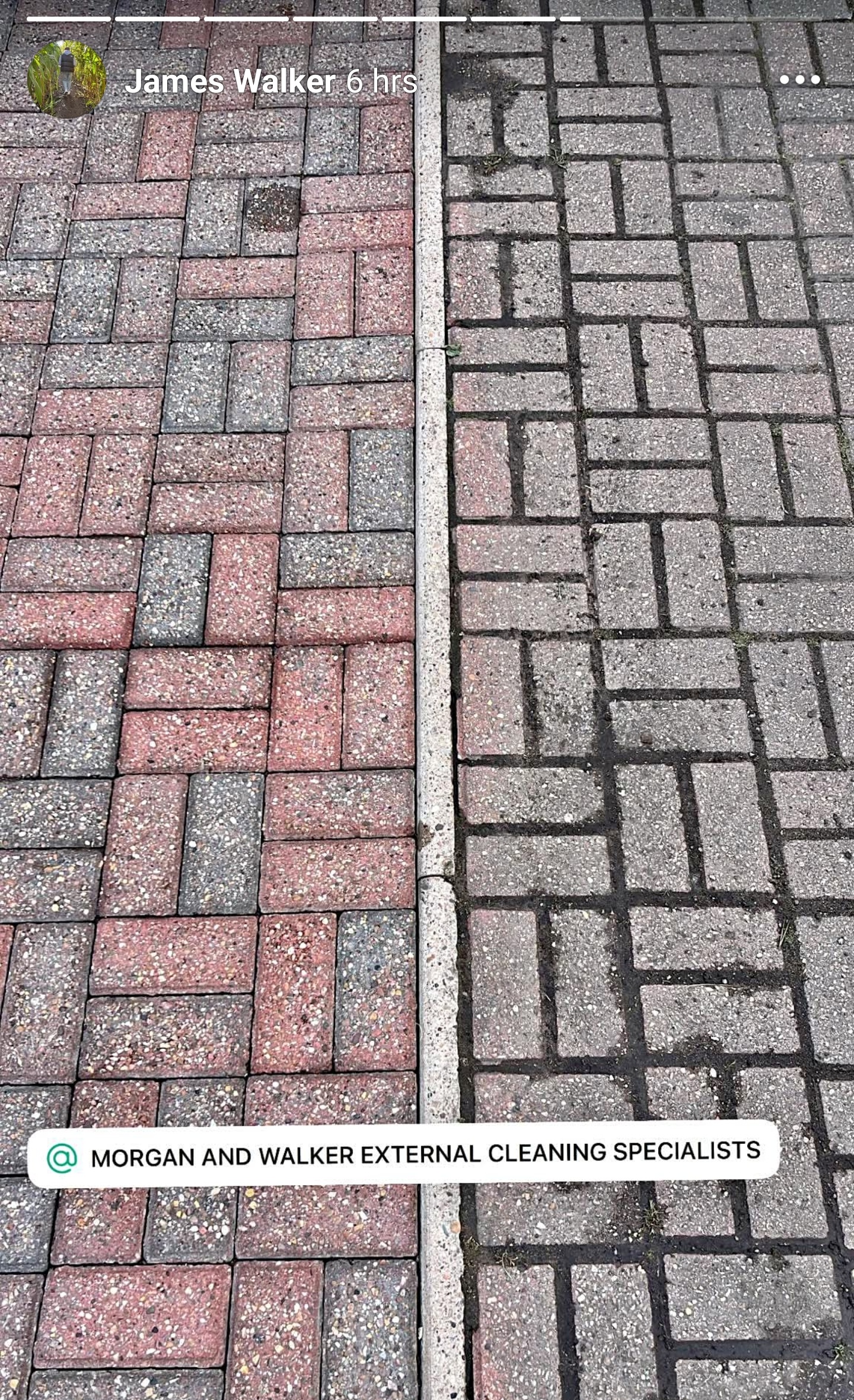 Block paving split down the middle showing dirty, algae-covered paving next to the same paving cleaned back to its original colour