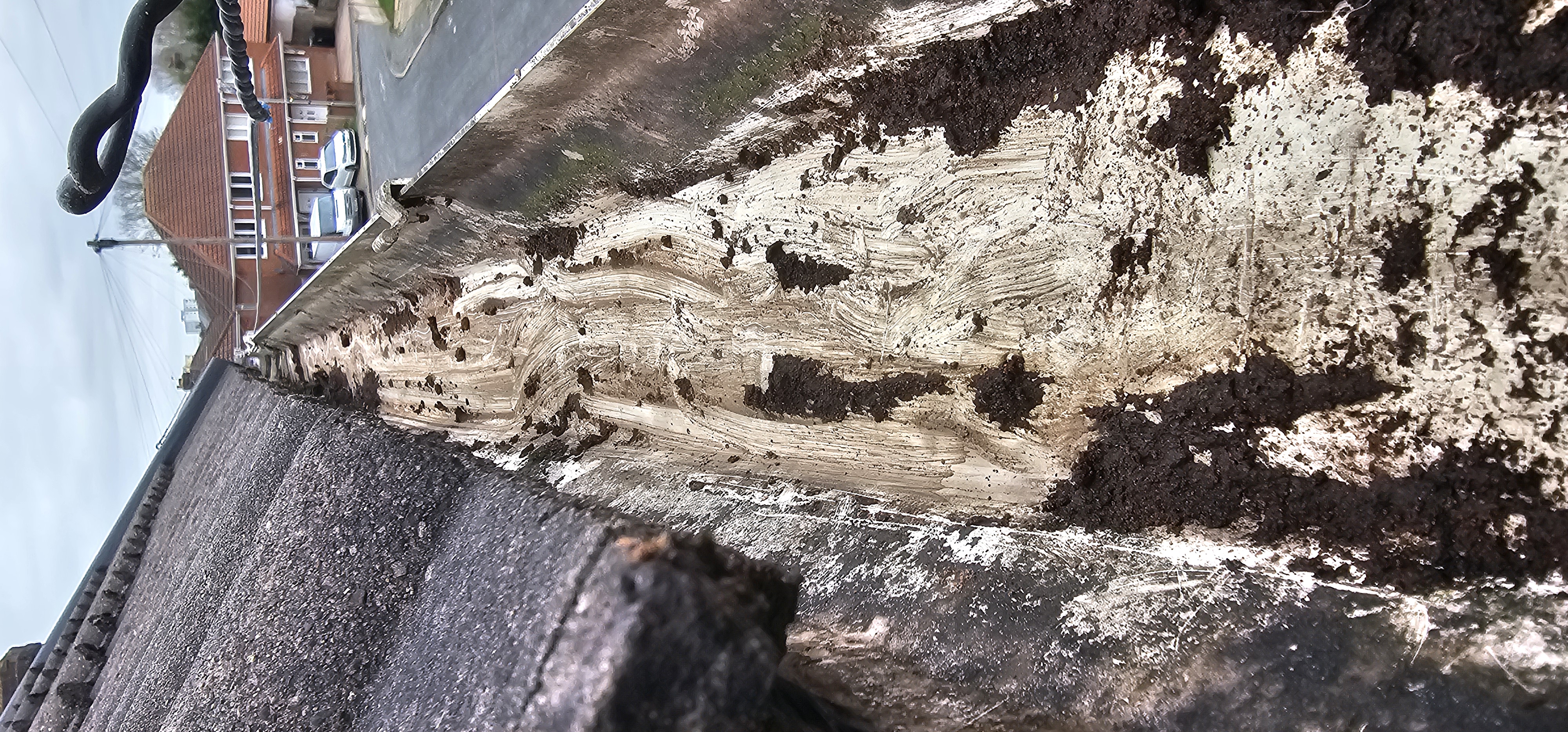 Close-up of a cleared gutter with a residential street in the background