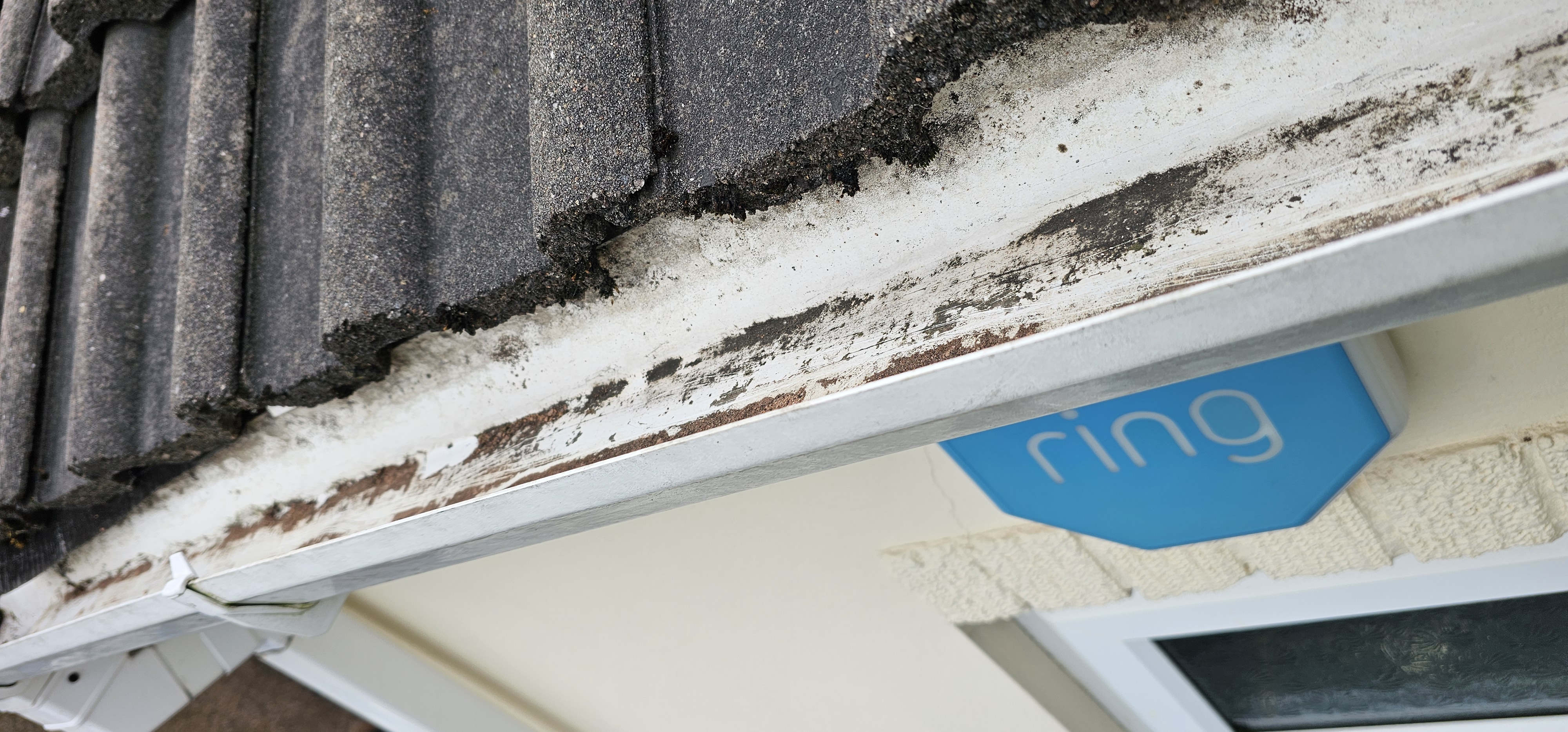 Cleared gutter along a pitched tile roof edge, with a doorbell camera visible below