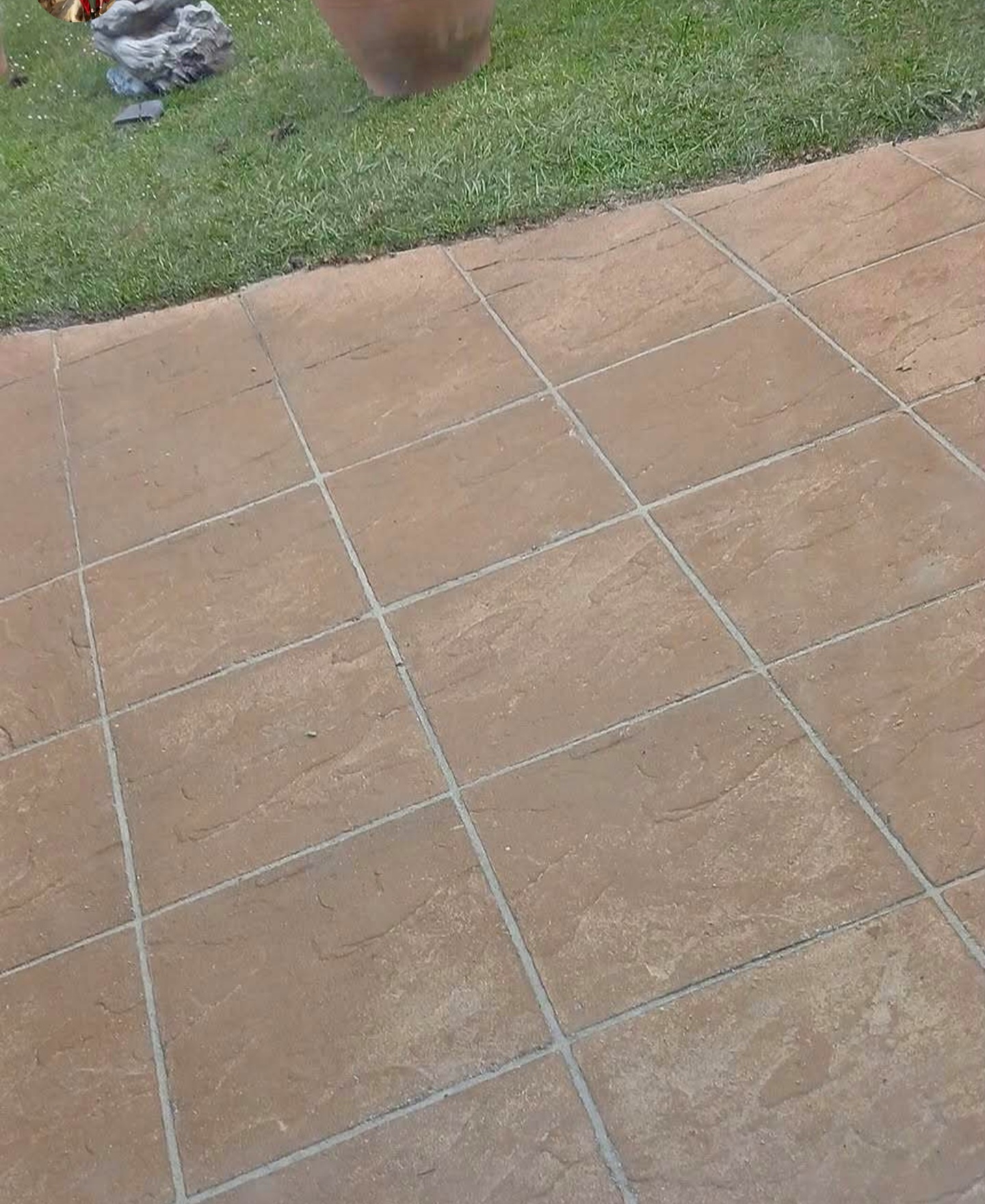 Clean square-slab patio after pressure washing, with a potted plant on the lawn edge