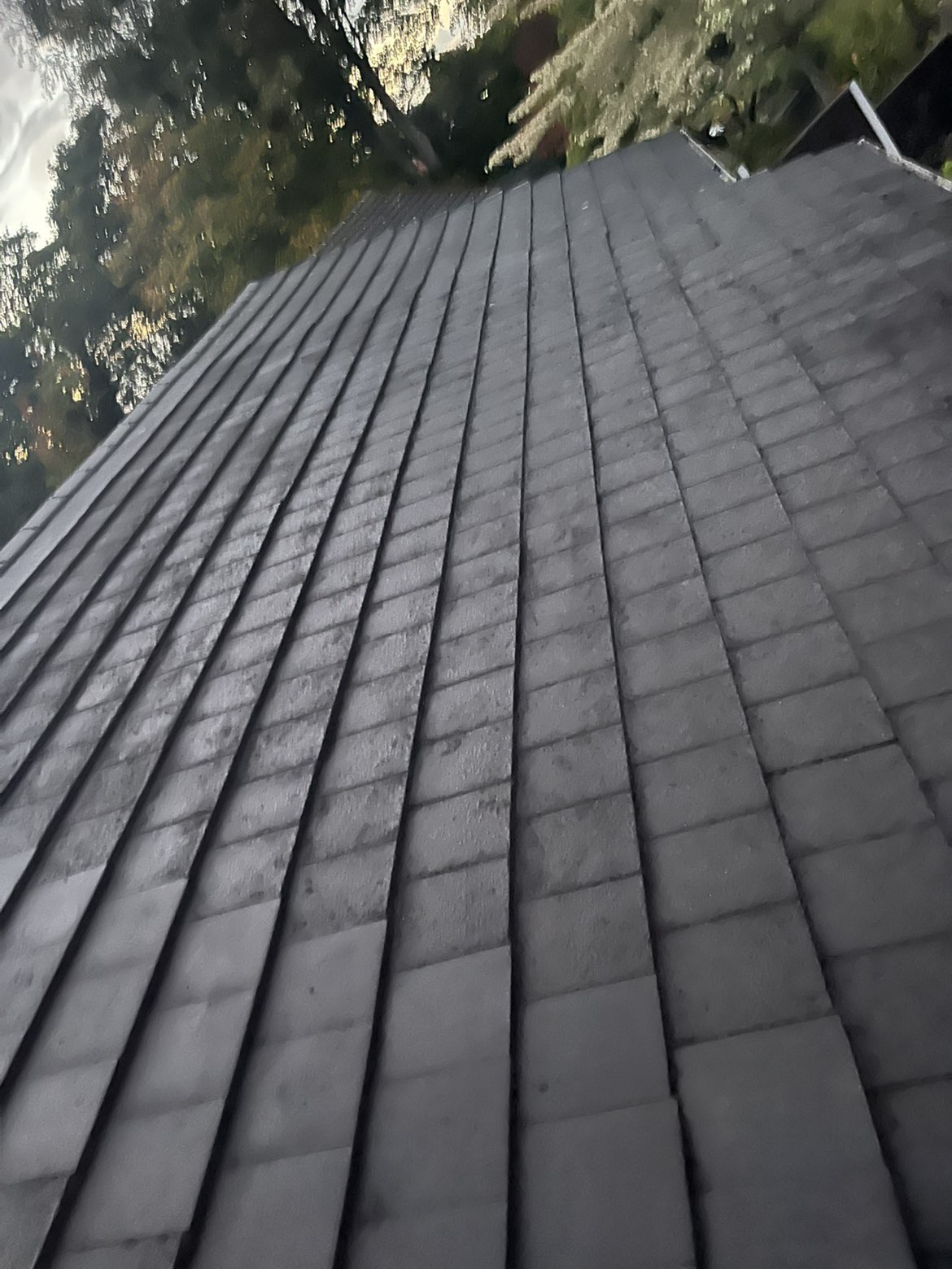 Close-up of mossy roof tiles before cleaning