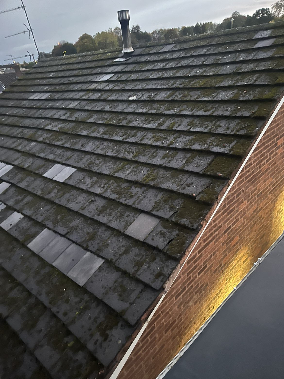 Moss-covered grey tiled roof before cleaning, viewed from above